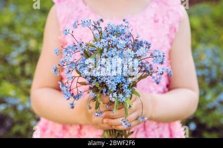 Close up view of child in pink party dress holding bouquet of Myosotis also known as forget me nots or scorpion grasses. Warm light with selective foc Stock Photo