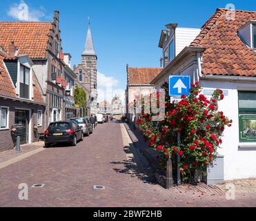 red roses in old street of edam in holland Stock Photo