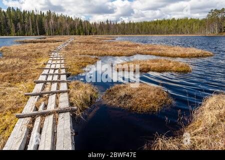 Footbridge from 1873 over a lake built with planks on floating moss and in background forest and cloudy sky, picture from Mellansel Vasternorrland Swe Stock Photo