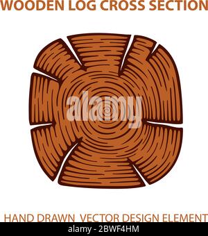 Wooden trunk cross section vector illustrations set. Wooden board sketch drawings. Part of set. Stock Vector