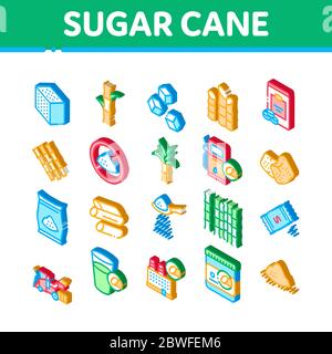 Sugar Cane Agriculture Isometric Icons Set Vector Stock Vector