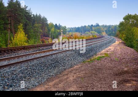 Railroad tracks going through the forest Stock Photo