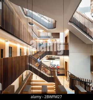 The atrium. Beecroft Building, Oxford, United Kingdom. Architect: Hawkins Brown Architects LLP, 2018. Stock Photo