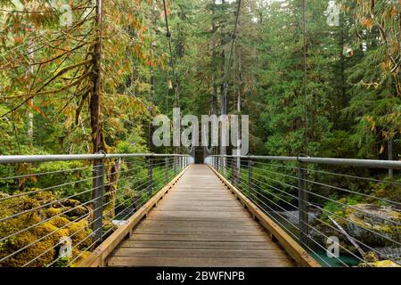 Forest bridge in Portland, Oregon, USA
