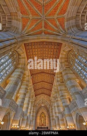 Sterling Library Yale University CT - Interior view of Collegiate Gothic architecture style main library at Yale University. Stock Photo