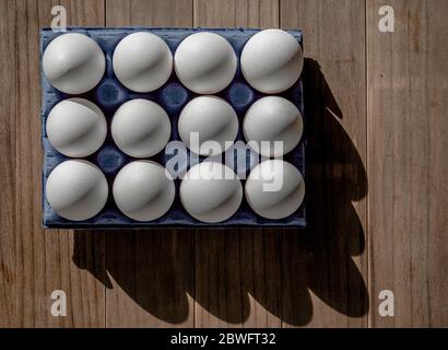 A dozen white eggs in a blue box. Shadows. Stock Photo