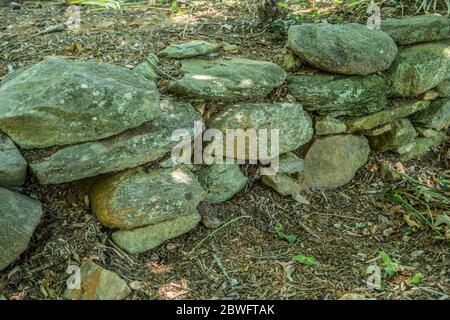 Closeup view of the dry stacked stone and rock wall covered with lichens and moss that is a rustic retaining wall for the plants in a garden Stock Photo