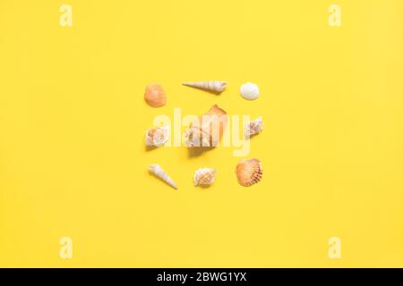 Summer flat lay. Shells of various kinds on a yellow background. Seashells on a pastel background. Vacation concept, free space for text. Stock Photo