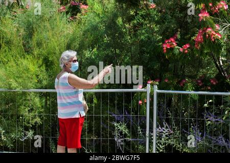 A woman looking at a flowering plant. Stock Photo