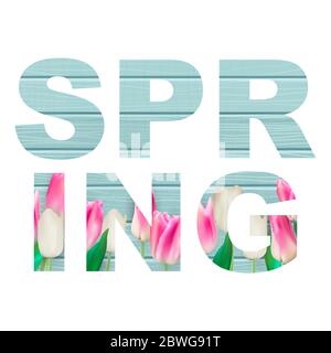 Abstract Spring Word Vector Illustration  Stock Vector