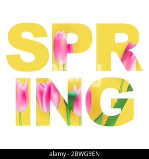 Abstract Spring Word Vector Illustration  Stock Vector