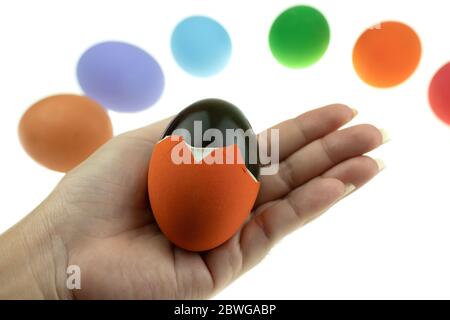 Century egg or preserved egg is eggs that are soaked in quicklime which turns the albumen green or black with Asian traditional food made by duck chic Stock Photo