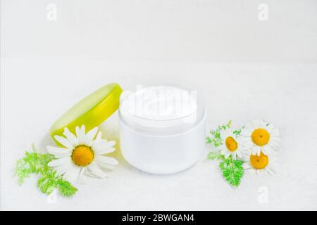 Herbal cosmetic body cream with chamomile oil in opened plastic container and fresh flowers on white background. Natural organic moisturizer and clean Stock Photo