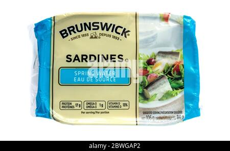 Retail Can Of Brunswick Canadian Sardines  Cut Out On A White Background Stock Photo