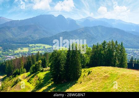 zakopane summer landscape. beautiful view from gubalowka in to the distant tatra  mountains. popular travel destination of poland. sunny weather with