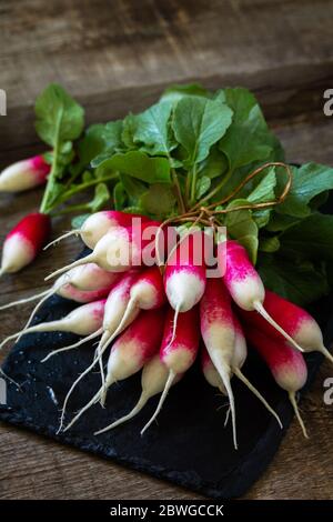 Summer harvested red radish. Organic vegetables. Raw fresh juicy garden radish on a rustic wooden table. Copy space.
