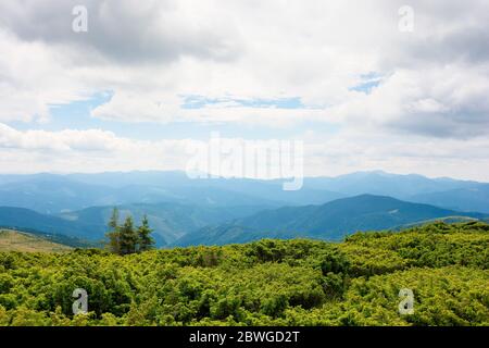 mountain landscape with tree on the hill. beautiful scenery on a cloudy day at high noon. mighty black ridge in the distance Stock Photo