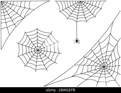 Halloween spider web and spider isolated on white background. Hector venom cobweb set. Stock Vector