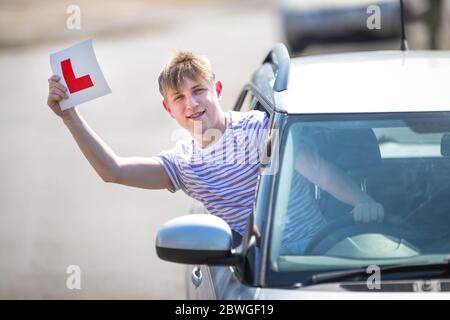 Teenager learner driver celebrating passing his driving test waving his L plates in the air. Stock Photo