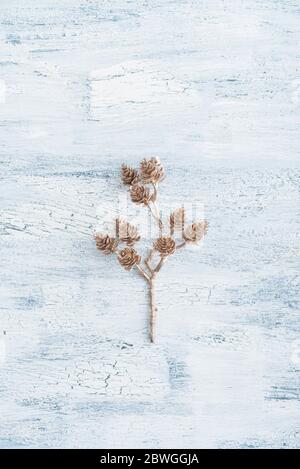 Decorative golden twig with pine cones on white wooden background with crackles, top view Stock Photo