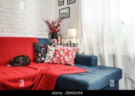 Christmas decorations with candles and red plaid on couch with cat in living room  closeup Stock Photo