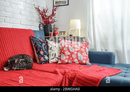 Christmas decorations with candles and red plaid on couch with cat in living room. All photos in frames on the wall made by me. Stock Photo