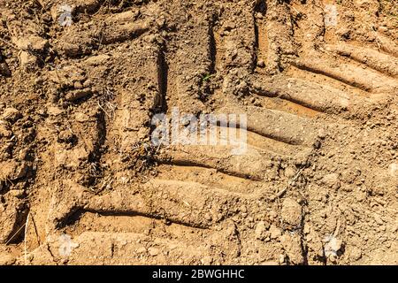 Tractor trail on the ground, close up. Stock Photo