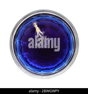 Organic blue tea Anchan, Clitoria, Butterfly Pea in glass isolated on white background, top view Stock Photo