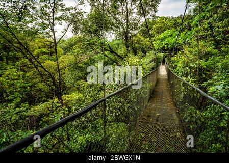 Hanging bridges in cloud forest at San Luis, Alajuela Province, Costa Rica Stock Photo