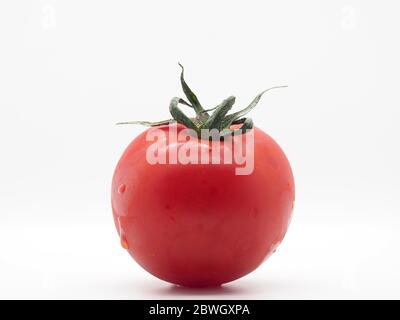 An Isolated Raw Tomato On A White Background, London, UK Stock Photo