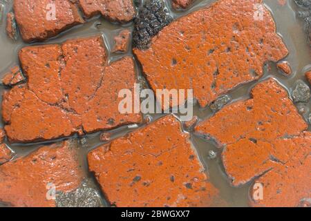Top view of dirt red bricks texture background. Bricks, dirt water and ground Stock Photo
