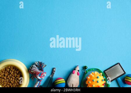 Flat lay composition with accessories for cat on blue background. Pet care and training concept. Stock Photo