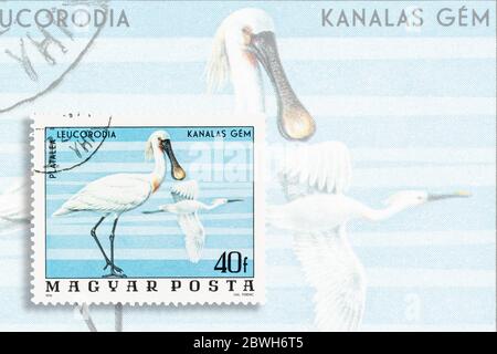 SEATTLE WASHINGTON - May 30, 2020:  Kanalas gem, Eurasian spoonbill bird, on Hungary postage stamp of 1976.  Scott # 2457 Stock Photo