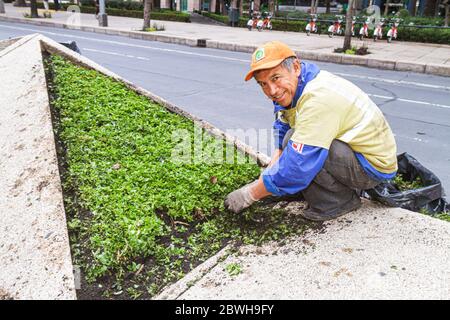 Mexico City,México Mexican,Paseo de la Reforma,Hispanic man men male,middle age,landscape,maintenance worker,job,working,work,landscaping,squatting,tr Stock Photo