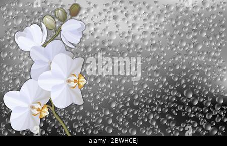 Vector realistic illustration of raindrops on window glass texture Stock Vector