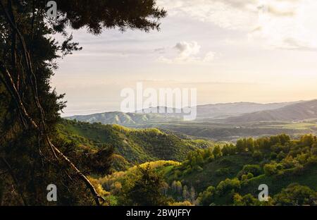 Beautiful scenery of green hills and forest at cloudy sunrise sky framing with pine trees. Outdoor and hiking concept Stock Photo