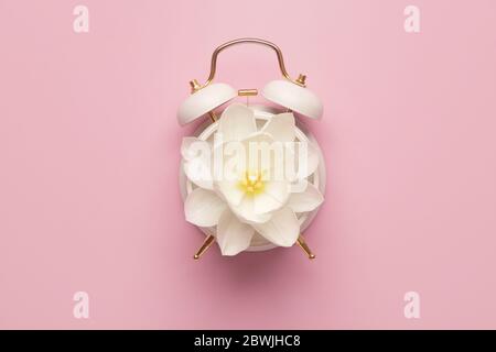 Alarm clock with flower on color background. Spring time Stock Photo