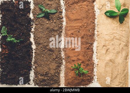 3,795 Loose Soil Images, Stock Photos, 3D objects, & Vectors | Shutterstock