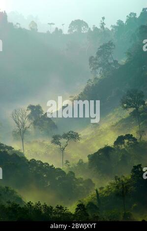 Mountain ridges covered with forest and bushes at the foot of Mount Pangrango, seen from Benda village in Cicurug, Sukabumi, West Java, Indonesia. Stock Photo