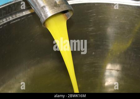 Greece, Attica, extra virgin olive oil extraction process in olive oil mill. Stock Photo