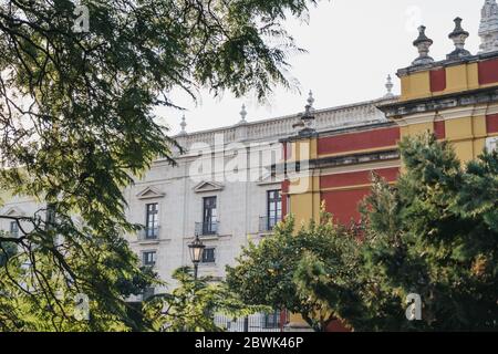 Seville, Spain - January 17, 2020: Building of Seville University, one of the top-ranked universities in the Spain, seen between the branches of a tre Stock Photo