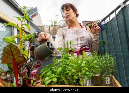 A young Caucasian woman watering plants and aromatics herbs at the garden in the balcony while smoking a cigarette Stock Photo