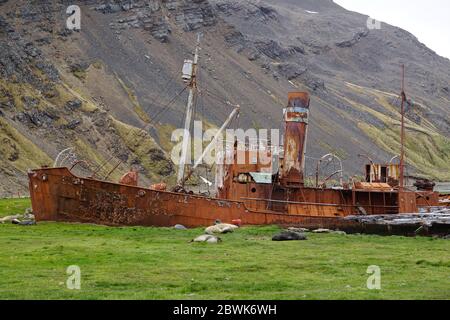 Rusty shipwreck called 'Petrel' at the whaling station in 'Grytviken' on South Georgia. Stock Photo