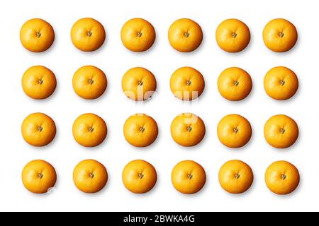 Fruit pattern on white background. Orange, Clementine, Tangerine. Stock Photo