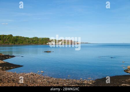 Two people swimming in a flat clam sea at Aberdour, Fife, Scotland. Stock Photo