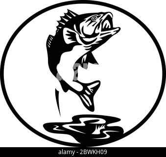 Retro style illustration of a largemouth bass (Micropterus salmoides), a carnivorous freshwater gamefish in Centrarchidae (sunfish) family, a species Stock Vector