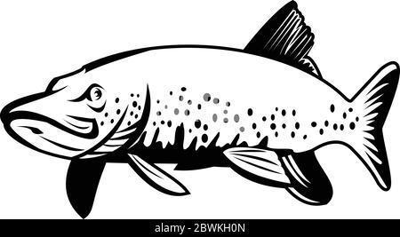 Retro style illustration of a northern pike, lakes pike, great northern pike or jackfish, a species of carnivorous fish of genus Esox swimming on isol Stock Vector