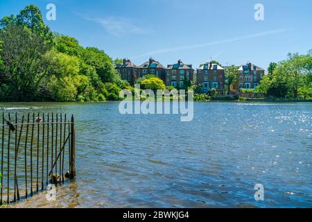 Summer landscape around a small lake in the suburbs of London, UK