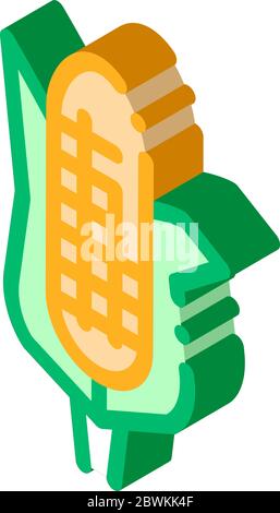 corn cob plant isometric icon vector illustration Stock Vector Image ...