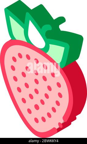 Healthy Food Fruit Strawberry isometric icon vector illustration Stock Vector